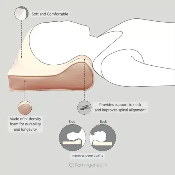 Correct sleeping shops position neck